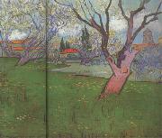 Vincent Van Gogh View of Arles with Trees in Blossom (nn04) oil painting on canvas